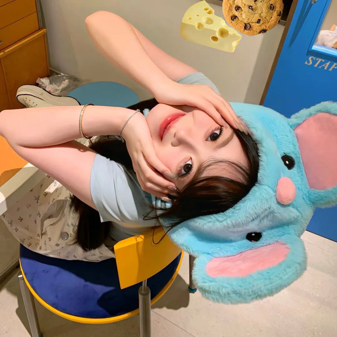 爱是一只猫